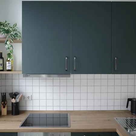 Stilvolles Altbauapartment Mit Balkon In Uninaehe Magdebourg